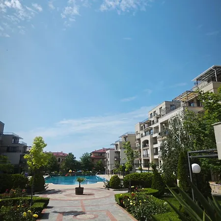 Summer * سفيتي فلاس