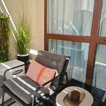Summer سفيتي فلاس
